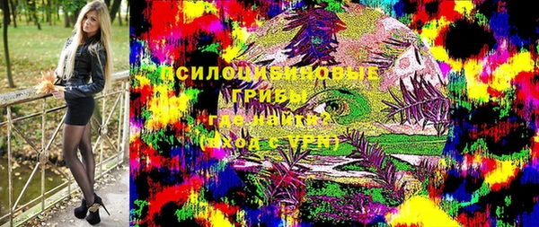 стаф Нефтекумск