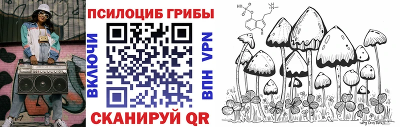 продажа наркотиков  Ветлуга  Псилоцибиновые грибы Magic Shrooms 